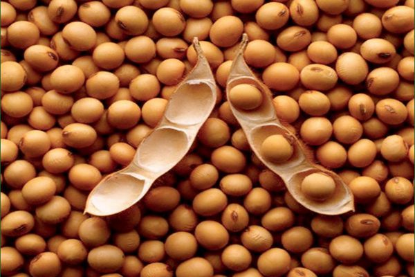 Soybeans