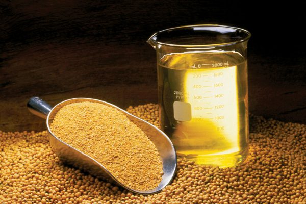 soybean-oil-consumption